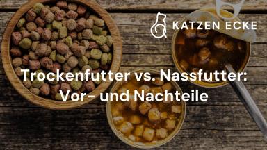 Trockenfutter vs. Nassfutter: Vor- und Nachteile