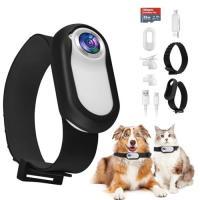 1080P HD Katzen Kamera Halsband
